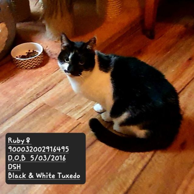 Photo of Maverick & Ruby