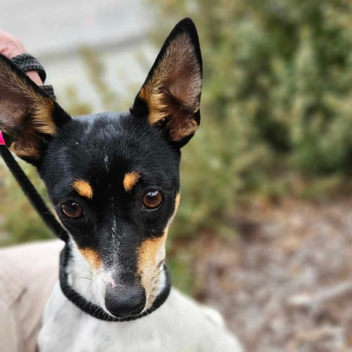 🍣 Wasabi 5833 🍣