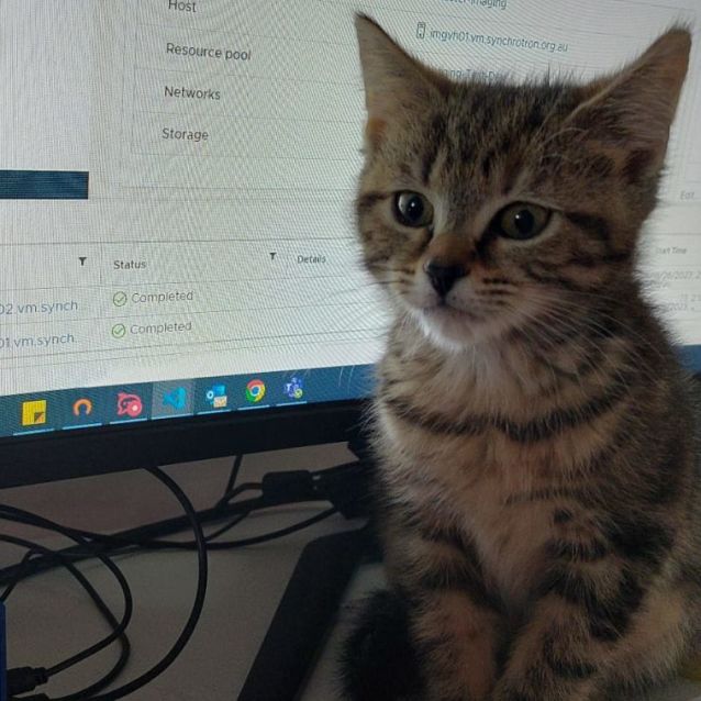 Photo of Heather & Bubbles