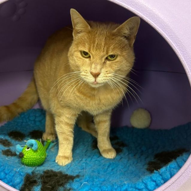 Photo of 👓 Samwise 5059👓