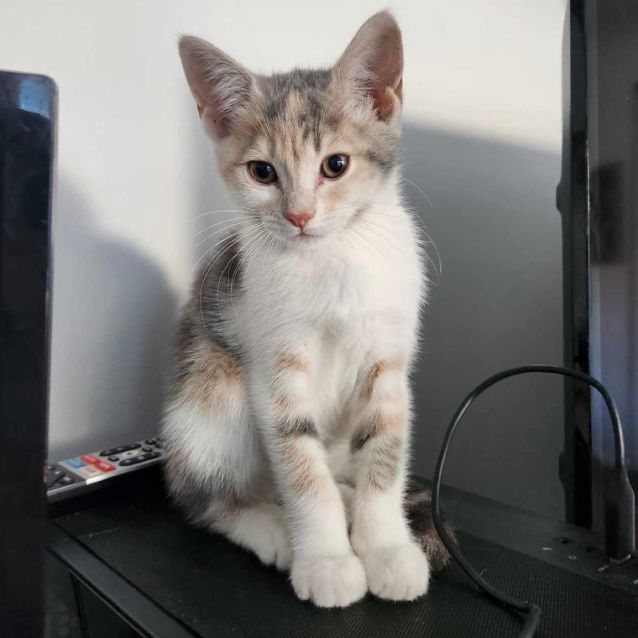 Photo of Linda