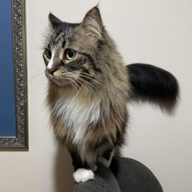 Photo of Tilly