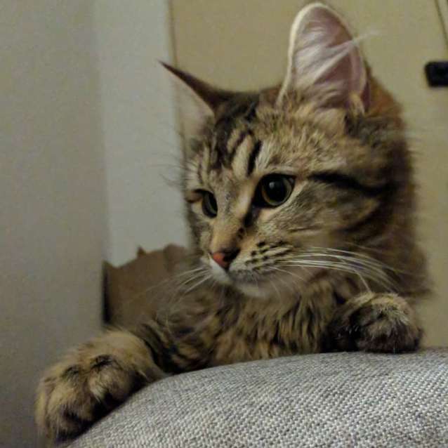 Photo of Harriet ✨