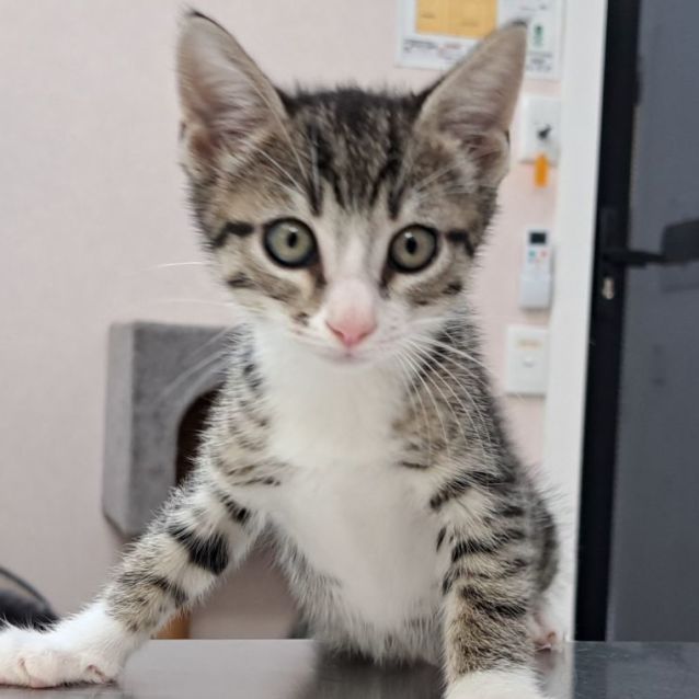 Photo of Natalie (0059)