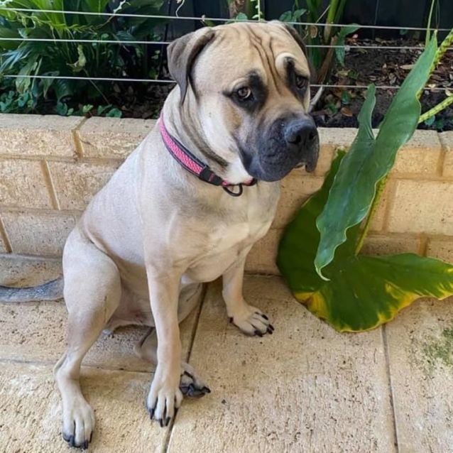 Photo of Darcey Dl2679