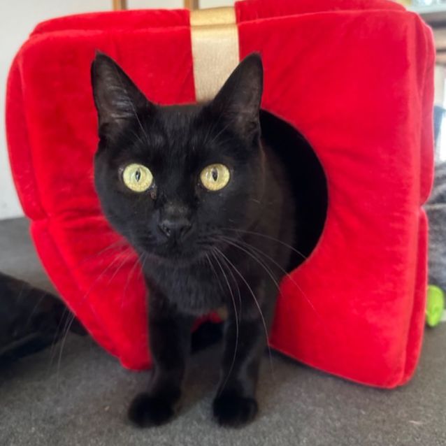 Photo of Lucy 🎀💝🤗