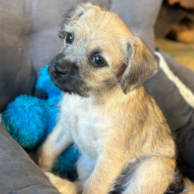 Photo of Sienna 🌞