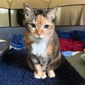 Photo of Cleo
