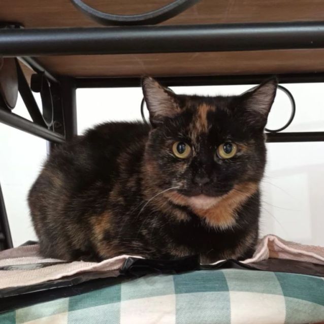 Photo of Delores 🌹🌹