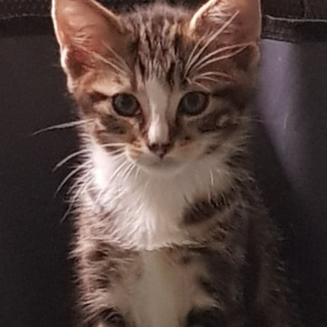 Photo of Huey