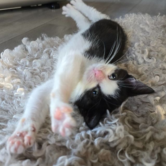 Photo of  💜 Maxine 💜