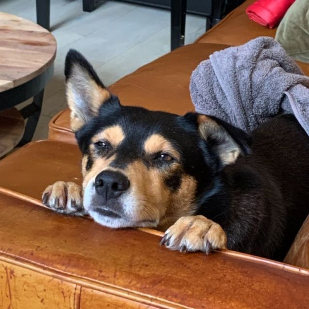 Photo of Jimby
