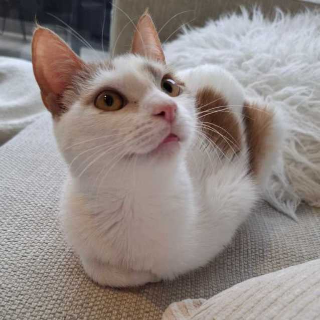 Photo of Misty & Brock