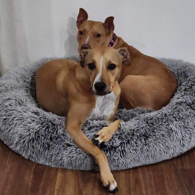 Photo of Thumbelina