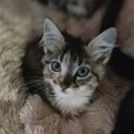 Photo of Margot
