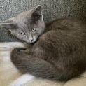 Photo of Abbi
