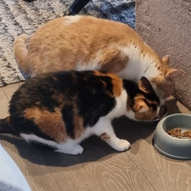 Photo of Tomi And Ang