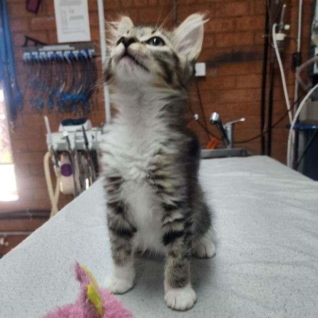 Photo of Frosty ❄️☃️