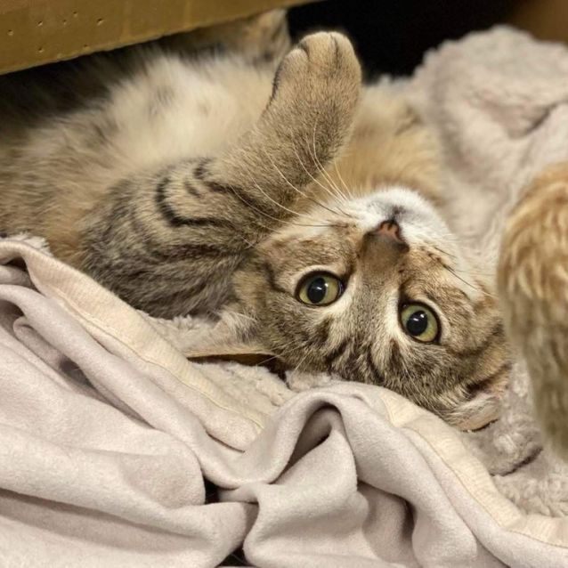 Photo of Eddie