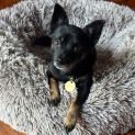 Photo of Itty Bitty