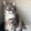 Photo of Scott   Located In Brunswick West