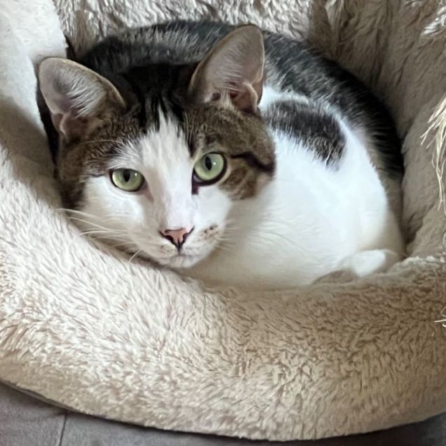 Photo of Prince Lucky 