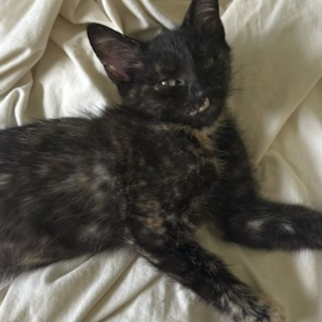 Photo of Black Betty