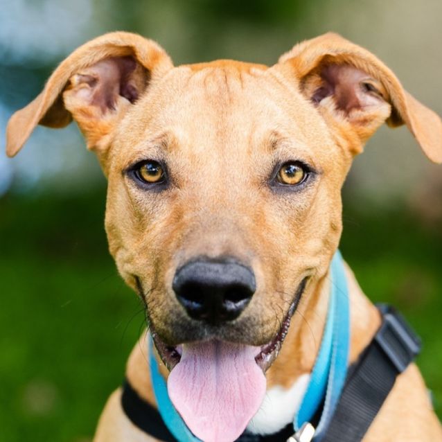 Photo of Yogi (Girl)