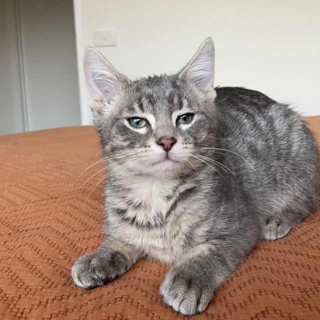 Photo of Lazlo