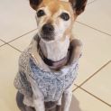 Photo of Coco