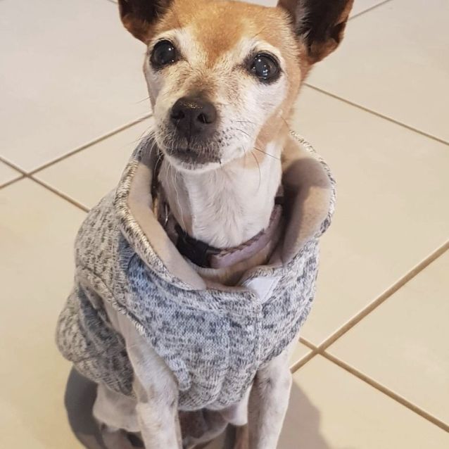 Photo of Coco