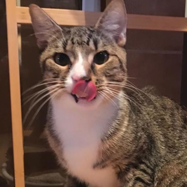 Photo of Bourbon