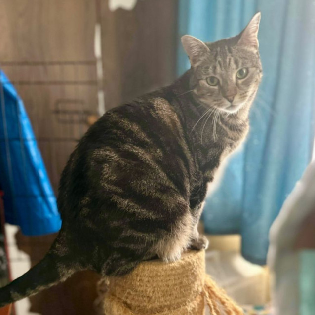 Photo of Mercy