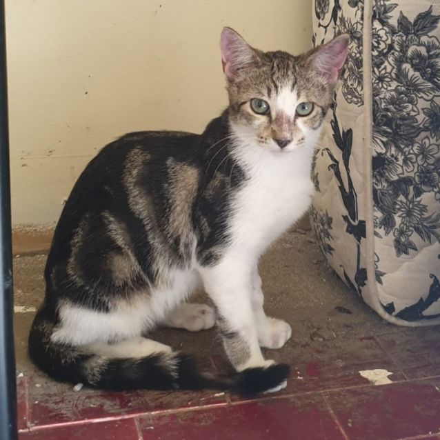 Photo of Floyd