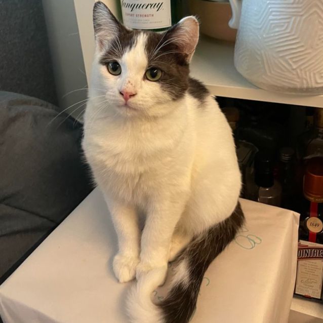 Photo of Luigi