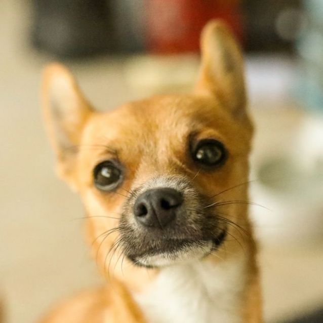 Photo of Benny