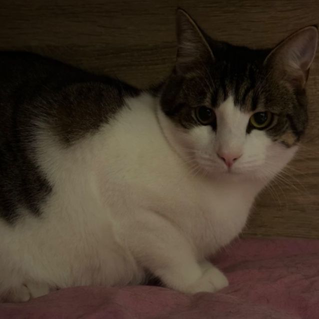 Photo of Oliver