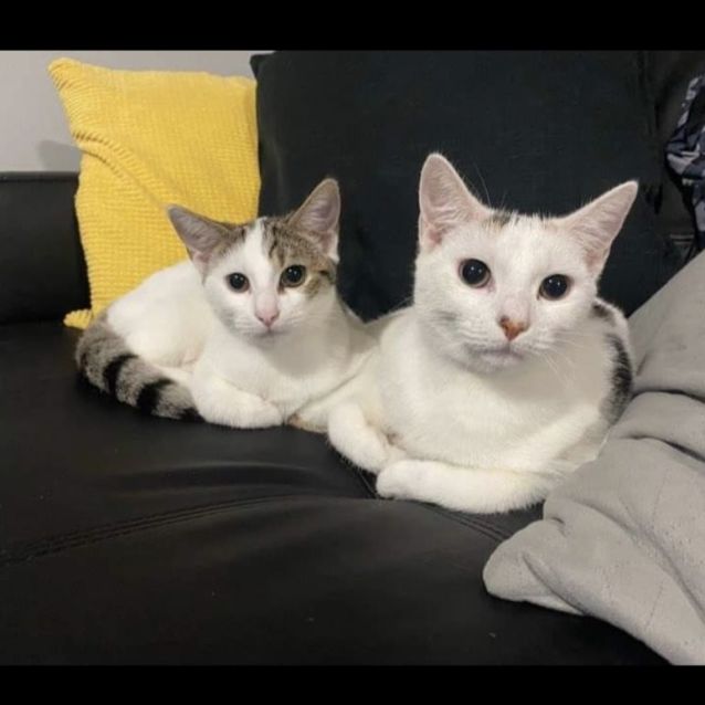 Photo of Holly & Hope 