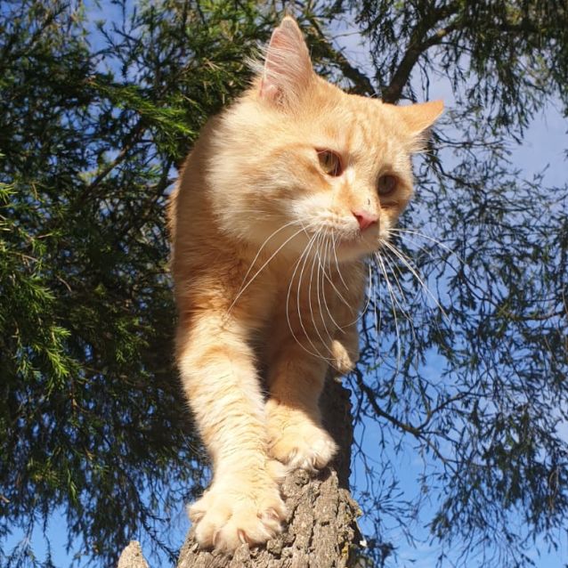 Photo of Mr Brave