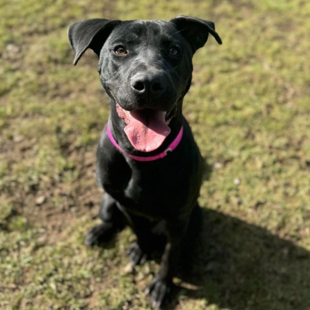 Photo of Pheobe Imp 1246