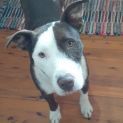 Photo of Cilla
