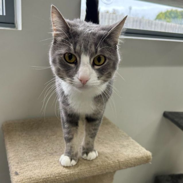 Photo of 🐻 Benji 5089 🐻