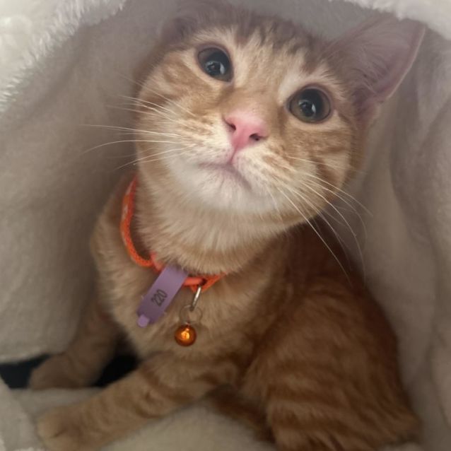 Photo of Clayton 🍊