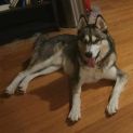 Photo of Lucas