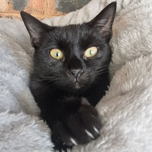 Photo of ❤️ Eclipse ❤️ 