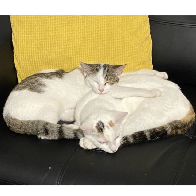 Photo of Holly & Hope 