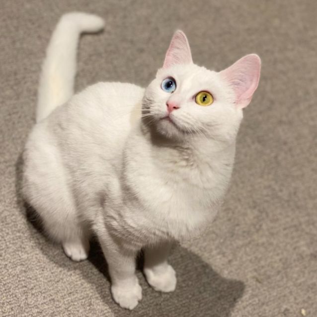 Photo of River (Located In Docklands)