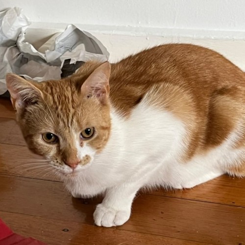 No photo for Eli & Peyton 