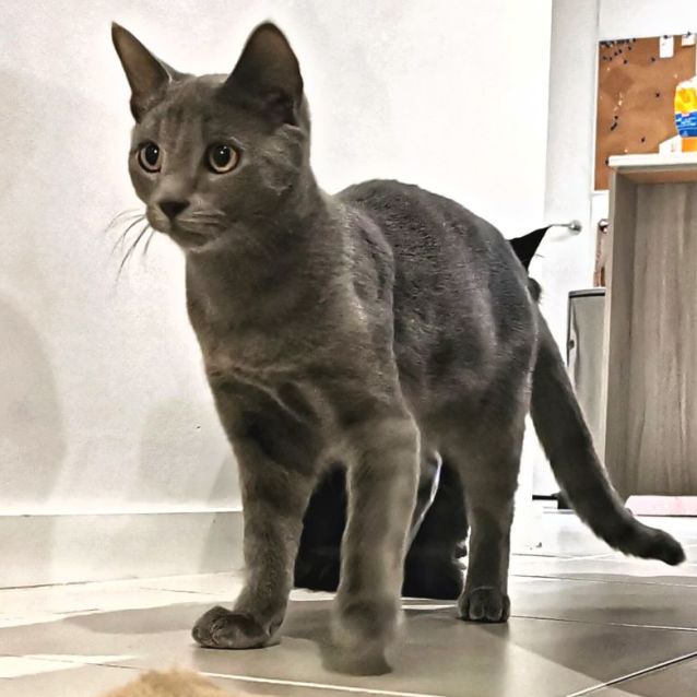 Photo of Blu
