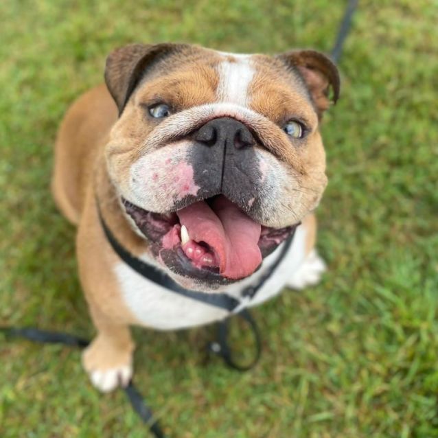 Photo of Gorgeous George